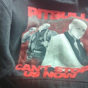 Pitbull Black Graphic Hoodie